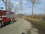Usuwanie skutkw wichury
